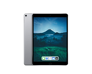 Apple iPad Pro 1  (9,7") 128 GB Wi-Fi + Cellular - Space Grau